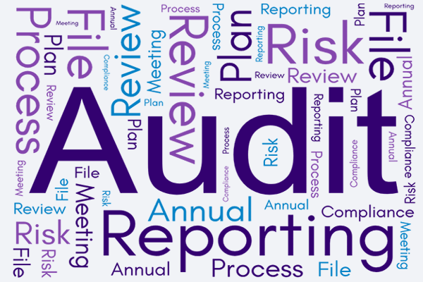 Audit Committee word cloud