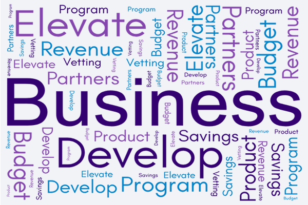 Business Development Committee word cloud