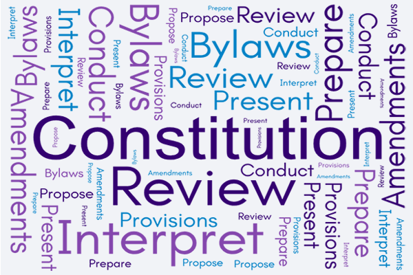 Constitution Bylaws Committee word cloud graphic