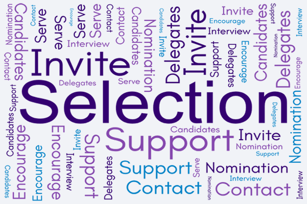 Trustee Selection and Nominations Committee