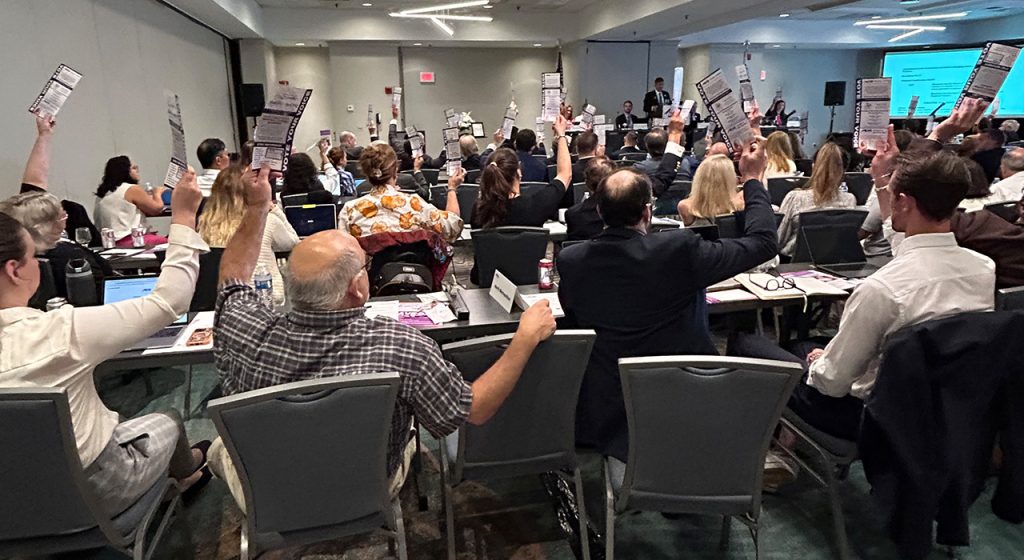 voting at the MDS House of Delegates